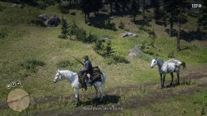 Red Dead Redemption 2