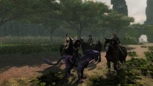 Horse Ride.. Honest