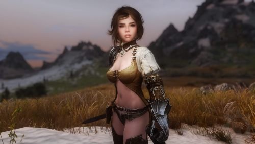 The Companions Character Overhaul (TCCO) by Hieroglyphics v - NPC ...