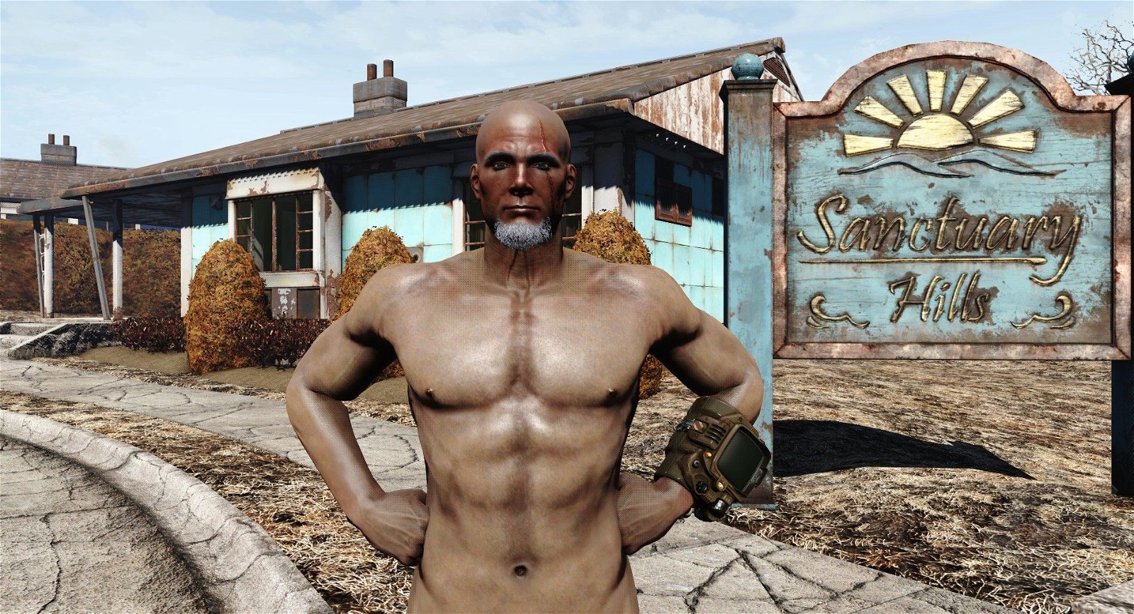 Fallout 3 nude mod