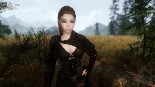 The Companions Character Overhaul (TCCO) by Hieroglyphics v - NPC ...