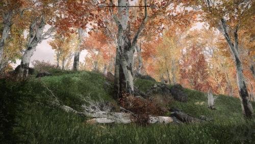 Forests of Dibella (SKYRIM SE) - Meshes and Texture Overhauls - Schaken ...